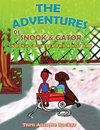 The Adventures of Snook & Gator