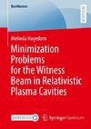 Minimization Problems for the Witness Beam in Relativistic Plasma Cavities