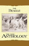 The Beagle - A Dog Anthology (A Vintage Dog Books Breed Classic)