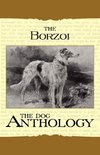 Borzoi