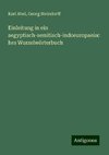 Einleitung in ein aegyptisch-semitisch-indoeuropaeisches Wurzelwörterbuch