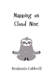 Napping on Cloud Nine