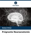 Prägnante Neuroanatomie