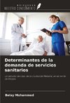 Determinantes de la demanda de servicios sanitarios