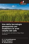 Uso della tecnologia geospaziale per modellare le aree colpite dal sale