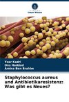 Staphylococcus aureus und Antibiotikaresistenz: Was gibt es Neues?