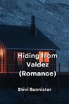 Hiding from  Valdez (Romance)