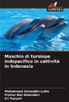 Maschio di tursiope indopacifico in cattività in Indonesia