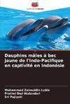 Dauphins mâles à bec jaune de l'Indo-Pacifique en captivité en Indonésie