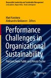 Performance Challenges in Organizational Sustainability