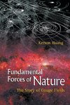 Fundamental Forces of Nature