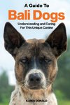 A Guide to Bali Dogs