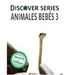 Animales Bebés 3