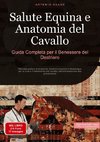 Salute Equina e Anatomia del Cavallo: Guida Completa per il Benessere del Destriero