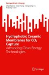 Hydrophobic Ceramic Membranes for CO2 Capture