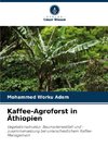 Kaffee-Agroforst in Äthiopien