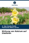 Wirkung von Kalzium auf Gladiolen