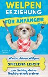 Welpenerziehung für Anfänger