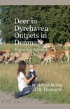 Deer in Dyrehaven - Outpets in Denmark