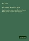 Le Fayoum, le Sinaï et Pétra