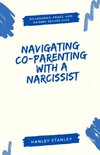 Navigating Co-Parenting with a Narcissist