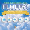 Those Clouds Sure Look Fluffy! Weather Books Grade 4 | Children's Earth Sciences Books