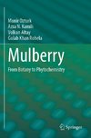 Mulberry