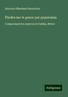 Études sur le genre per peperomia