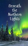 Beneath the Northern Lights