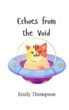 Echoes from the Void