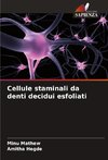 Cellule staminali da denti decidui esfoliati