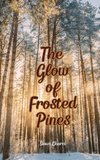 The Glow of Frosted Pines