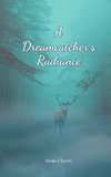 A Dreamcatcher's Radiance