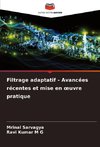 Filtrage adaptatif - Avancées récentes et mise en ¿uvre pratique