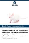 Neuroprotektive Wirkungen von Edaravone bei experimentellem Hydrozephalus