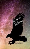 Aurora Falcons