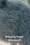 Weeping Angel (Werewolf)