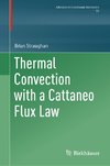 Thermal Convection with a Cattaneo Flux Law