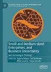 Small and Medium-sized Enterprises, and Business Uncertainty