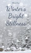 Winter's Bright Stillness