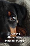 Train My Doberman Pinscher Puppy