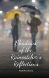 Shadows of the Raincatcher's Reflections