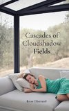 Cascades of Cloudshadow Fields