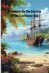 A summer on the borders of the Caribbean sea.