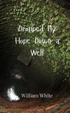 Dropped My Hope Down a Well