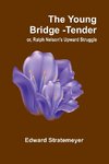 The Young Bridge-Tender; or, Ralph Nelson's Upward Struggle