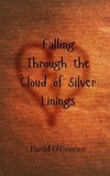 Falling Through the Cloud of Silver Linings