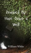 Dropped My Hope Down a Well