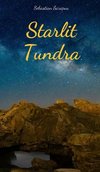 Starlit Tundra