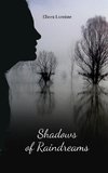 Shadows of Raindreams